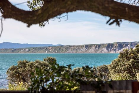 Photo of property in 1598 Cape Palliser Road, Cape Palliser, Featherston, 5772