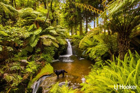 Photo of property in 115 Ngatitangata Road, Waihi, 3681