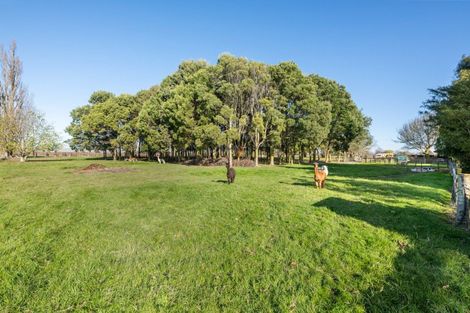 Photo of property in 43 Tytler Street, Grovetown, Blenheim, 7273