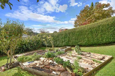 Photo of property in 60 Turnbull Street, Brockville, Dunedin, 9011