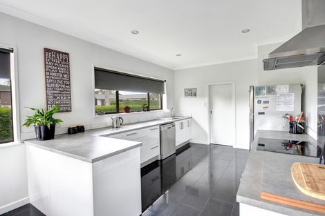 Photo of property in 20 Lynas Street, Outram, 9019