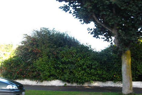 Photo of property in 126 Balmacewen Road, Wakari, Dunedin, 9010