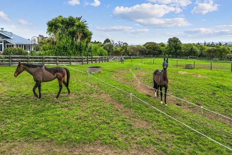 Photo of property in 42 Boyd Road, Clarks Beach, Pukekohe, 2679