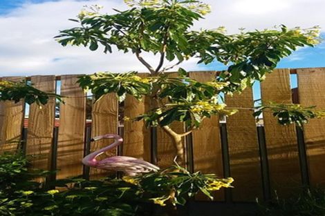 Photo of property in 6 Kerei Street, Motueka, 7120