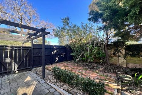 Photo of property in 63a Shelly Beach Road, Saint Marys Bay, Auckland, 1011