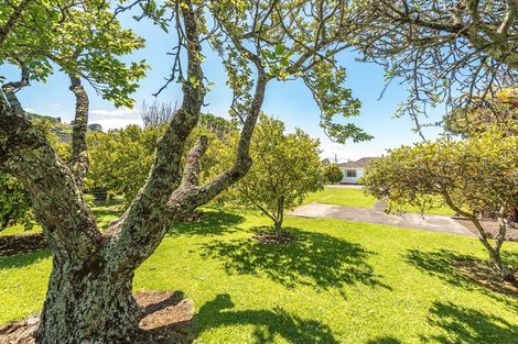Photo of property in 17 Kells Avenue, Aramoho, Whanganui, 4500