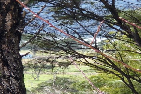 Photo of property in 4 Moana Crescent, Kennedy Bay, Coromandel, 3583