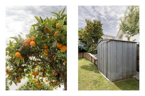 Photo of property in 40 Waimapu Street, Greerton, Tauranga, 3112