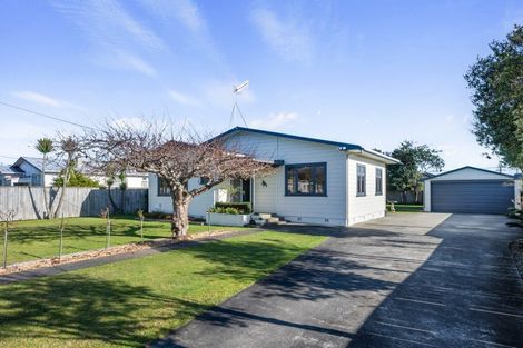 Photo of property in 47 George Street, Levin, 5510