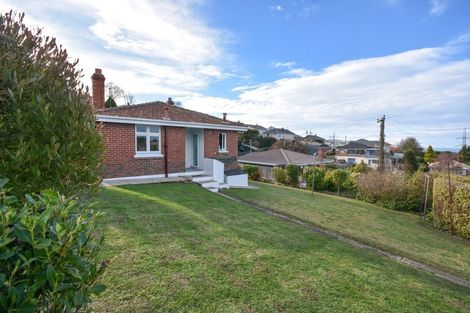 Photo of property in 115 Oakwood Avenue, Balaclava, Dunedin, 9011