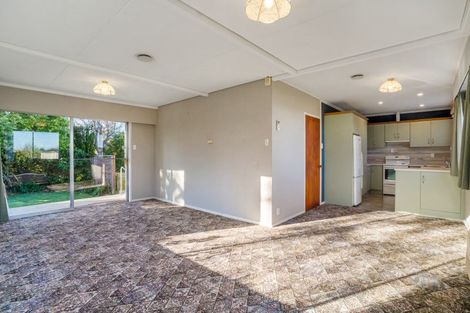 Photo of property in 52 Albert Street, Winton, 9720