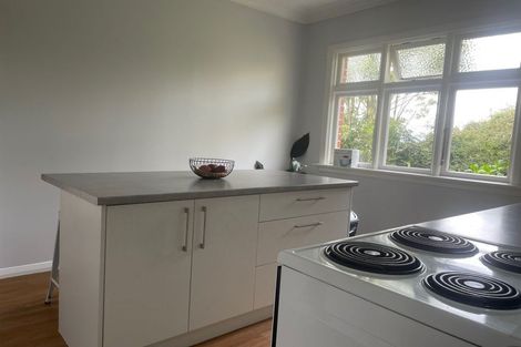 Photo of property in 521 South Road, Calton Hill, Dunedin, 9012