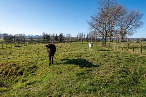 Photo of property in 29 Halcrow Road, Reporoa, 3081