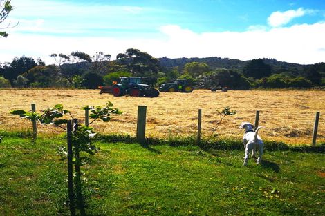 Photo of property in 9 Pakawau-bush Road, Pakawau, Collingwood, 7073