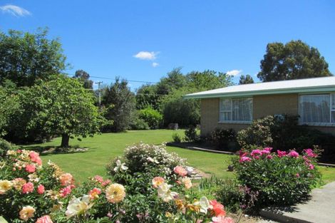 Photo of property in 569 Dunstan Road, Alexandra, 9391