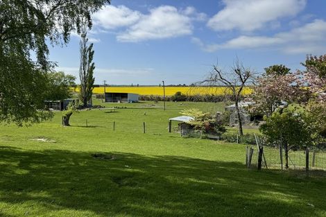 Photo of property in 263 Molloys Road, Waimate, 7980