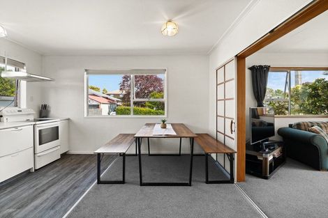 Photo of property in 117 Glenpark Avenue, Maryhill, Dunedin, 9011