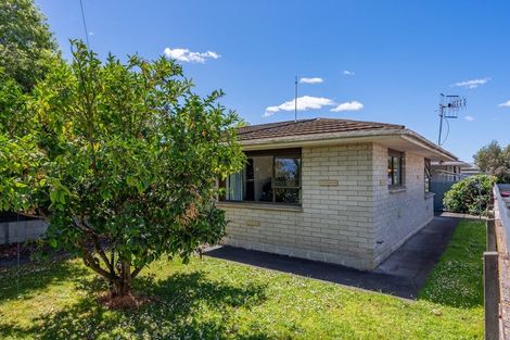 Photo of property in 924 Florence Street, Raureka, Hastings, 4120