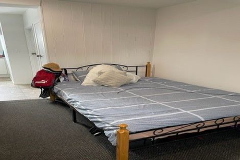 Photo of property in 57 Tripoli Road, Panmure, Auckland, 1072