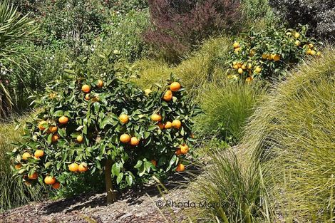 Photo of property in 6 Skelton Crescent, Paparoa, 0571