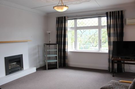 Photo of property in 113 Signal Hill Road, Opoho, Dunedin, 9010