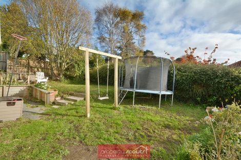 Photo of property in 36 College Street, Caversham, Dunedin, 9012