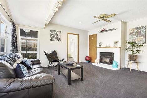 Photo of property in 158 Rimu Street, Maeroa, Hamilton, 3200