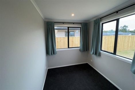 Photo of property in 111 Hinemoa Street, Levin, 5510