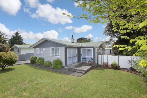 Photo of property in 19 Alexandra Street, Marton, 4710