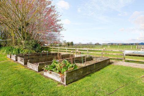 Photo of property in 186b Holland Road, Puketaha, Hamilton, 3286