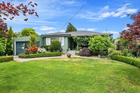 Photo of property in 11 Keats Terrace, Leamington, Cambridge, 3432