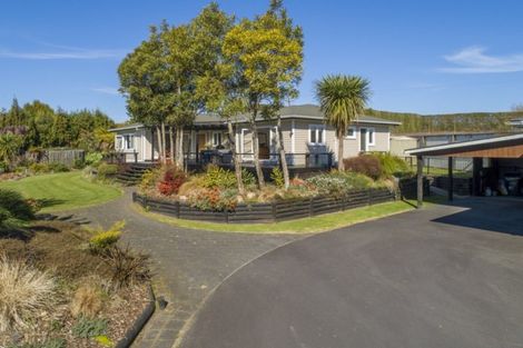 Photo of property in 255 Ruahihi Road, Omanawa, Tauranga, 3171