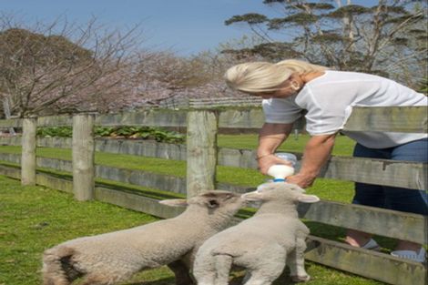 Photo of property in 17a Thorn Road, Lower Kaimai, Tauranga, 3171