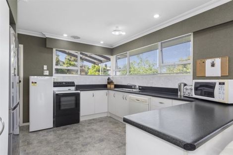 Photo of property in 32 Lynwood Place, Brookfield, Tauranga, 3110