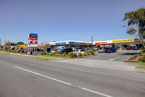 Photo of property in 189b Parklands Avenue, Bell Block, New Plymouth, 4312