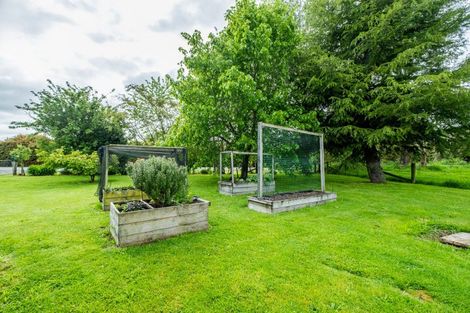 Photo of property in 278 Talbot Street, Geraldine, 7930