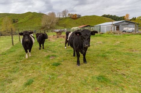 Photo of property in 298 Oio Road, Owhango, 3989