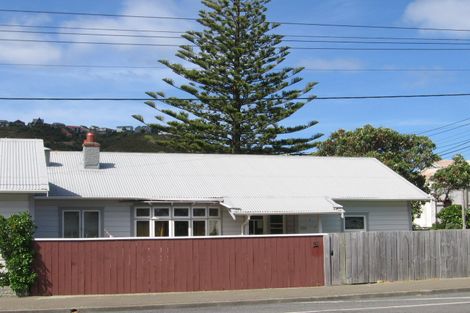 Photo of property in 125 Derwent Street, Island Bay, Wellington, 6023