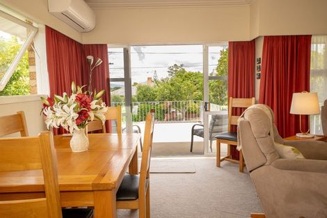 Photo of property in 17 Johnsview Terrace, Hillcrest, Hamilton, 3216