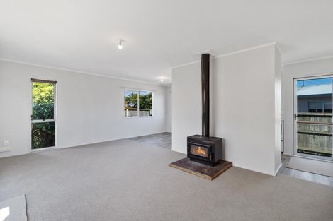 Photo of property in 111 Tennyson Street, Leamington, Cambridge, 3432