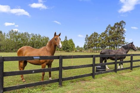 Photo of property in 102 Boord Crescent, Kumeu, 0891