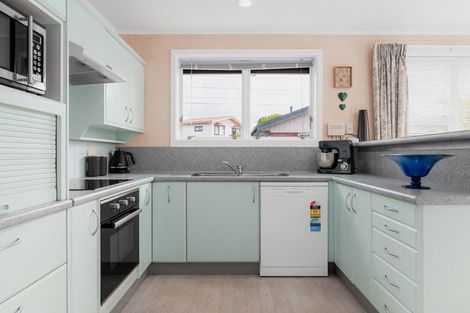 Photo of property in 101 Lewis Street, Glenview, Hamilton, 3206