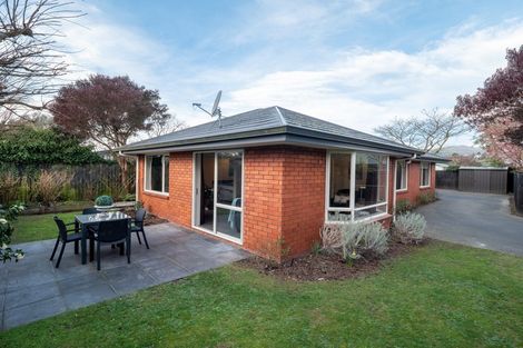 Photo of property in 3 Nina Lane, Somerfield, Christchurch, 8024