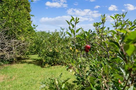 Photo of property in 31 Makora Road, Massey, Auckland, 0614