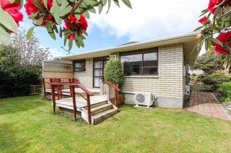 Photo of property in 69a Mangorei Road, Strandon, New Plymouth, 4312