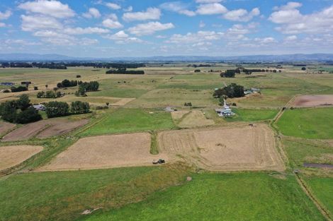 Photo of property in 128 Banks Road, Rongotea, Palmerston North, 4473