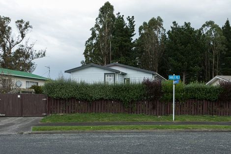 Photo of property in 17 Holt Place, Waipukurau, 4200