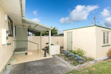 Photo of property in 29b Barnett Street, Putaruru, 3411