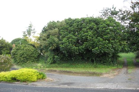Photo of property in 39 Prospect Avenue, Tirau, 3410