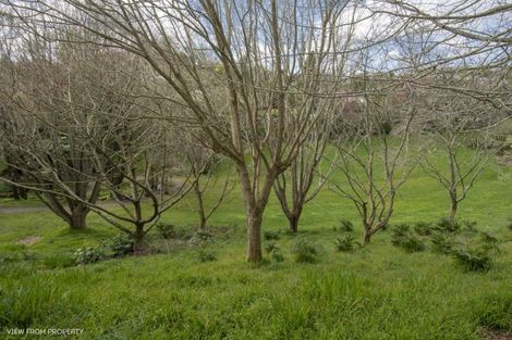 Photo of property in 22 Honeysuckle Lane, Ohauiti, Tauranga, 3112